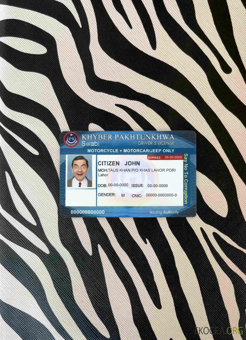 Pakistan DL photolook AVANT